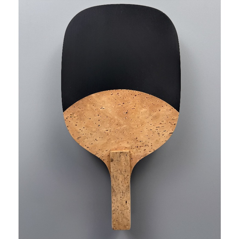 Lame de tennis de table profes - Table Tennis In Japanese avis et prix
