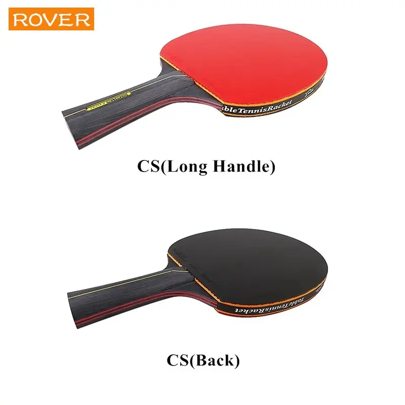 Raquette de Tennis de Table 5/ - Table Tennis Tournament avis et prix