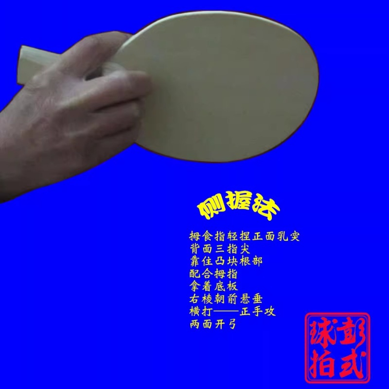 Raquettes de Tennis de Table d - Table Tennis In Japanese avis et prix