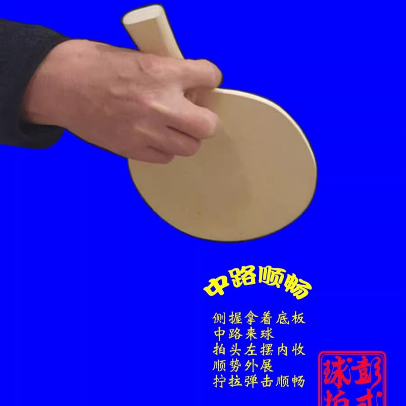 Raquettes de Tennis de Table d - Table Tennis In Japanese avis et prix