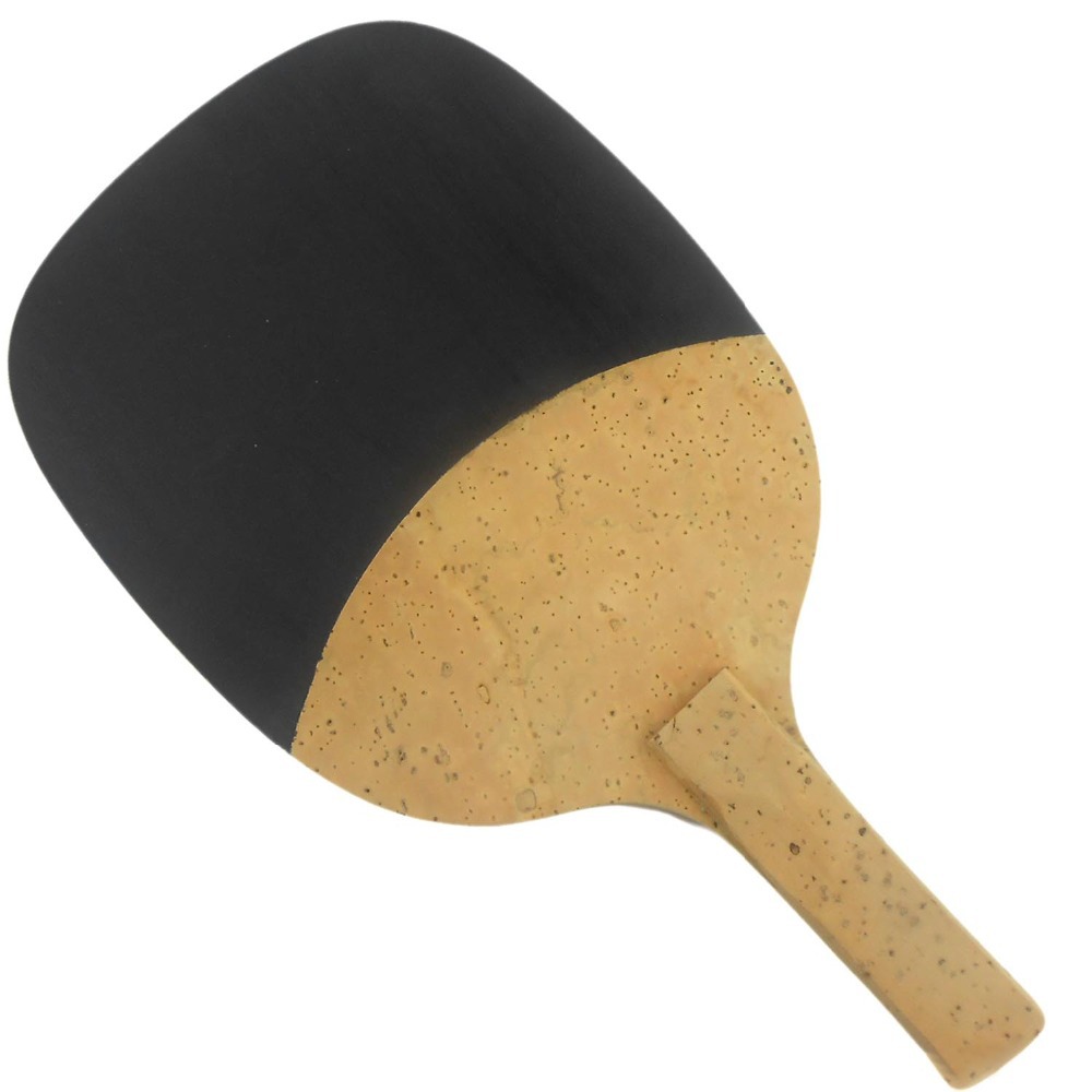 PALIO 8603 carbone titane lame - Table Tennis In Japanese avis et prix